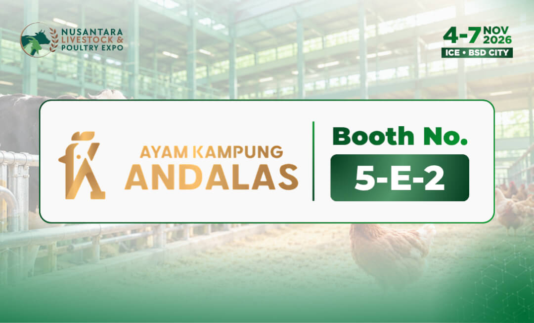 Ayam Kampung Andalas Hadirkan Ayam Lokal Berkualitas dalam Nusantara Livestock & Poultry (NLP) Expo 2026